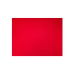 CARTULINA IRIS 2C 50X65CM 180G VINO 100500