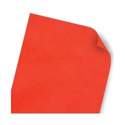 PAPEL MANILA 70X95 ROJO C.500