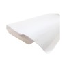 PAPEL GAMUSINA 50X65 BLANCO E.10 C.50