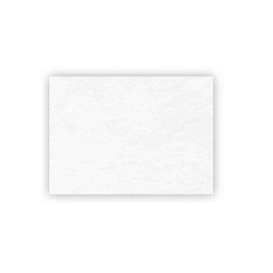 PAPEL VEGETAL.CALCA 110115GRS. 61X91 JISS E.250