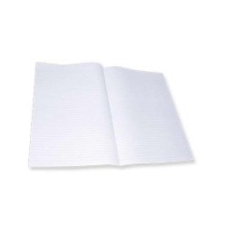 PAPEL MINISTRO DOBLE OFICIO RAYA DIPAO PAQ. C25 PZAS C.50