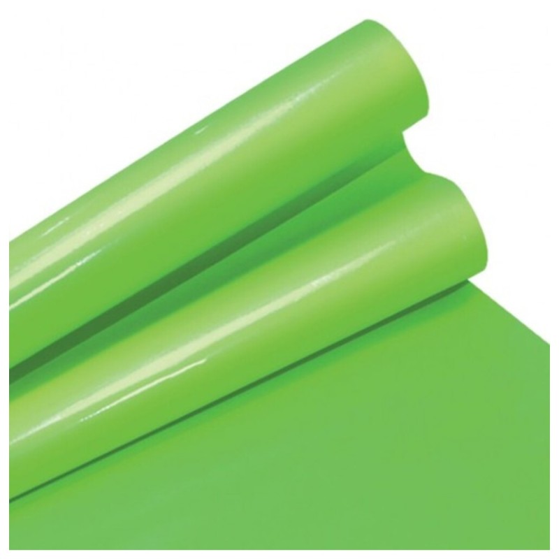 PAPEL LUSTRE SATINADO 49X66 CM. VERDE NILO 419 E25 C500