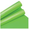 PAPEL LUSTRE SATINADO 49X66 CM. VERDE NILO 419 E25 C500