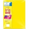 CARTULINA IRIS 2C 50X65CM 180G AMARILLO 100500