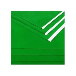 PAPEL GAMUSINA 50X65 VERDE.BANDERA E.10 C.50