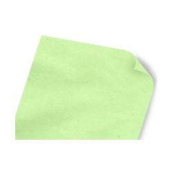 PAPEL MANILA 70X95 VERDE C.500