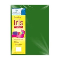 CARTULINA IRIS 2C 50X65CM 180G VDE.BANDERA 100500
