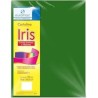 CARTULINA IRIS 2C 50X65CM 180G VDE.BANDERA 100500
