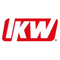 CARTULINA IRIS 2C 50X65CM 180G VDE.BANDERA 100500