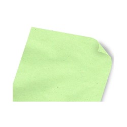PAPEL MANILA 70X95 VERDE C.500