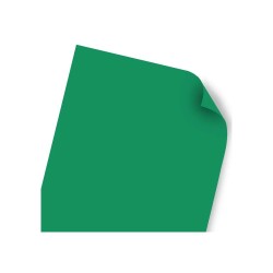 CARTULINA REFLECT IRIS 2C. 50X65CM. 180G. VERDE 10100
