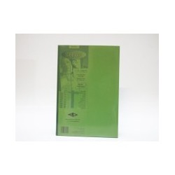 PAPEL STARDREAM CTA. 120G. 2C. VERDE MANZ PAQ.C100H.