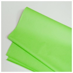 PAPEL CHINA 50X75 CM. VERDE FLOUR. E.100 C.1000