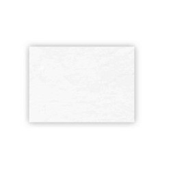 PAPEL VEGETAL CALCA 5055 GRS.61X91 JISS E.250