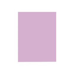 PAPEL BOND CTA. LILA 75G. TASKY PAQ.C100H. C.25