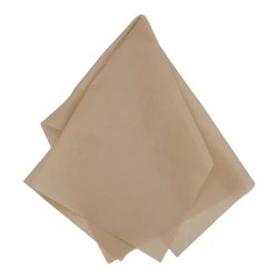 PAPEL CHINA 50X75 CM. BEIGE E.100 C.1000