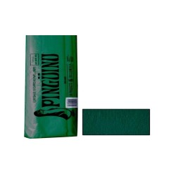 PAPEL CREPE PINGUINO VERDE NAVIDAD E.10 C.250 35