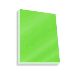 PAPEL LUSTRE SATINADO 49X66 CM. VERDE MANZANA 420 25500